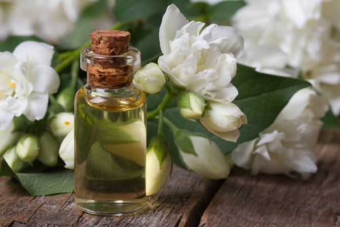 Aroma oils that attract love