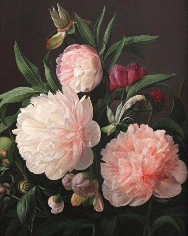 Цветущие пионы. Карл Вильгельм Балсгаард (1812-1893), датский художник, известный, прежде всего, своими натюрмортами