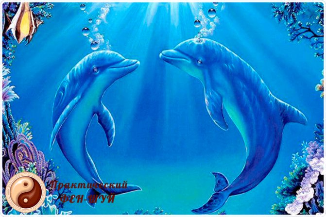 дельфины картина