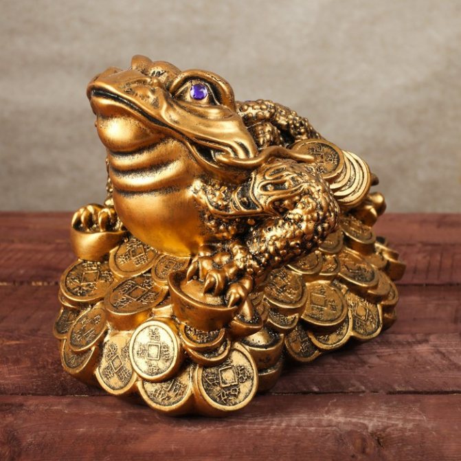 Money toad