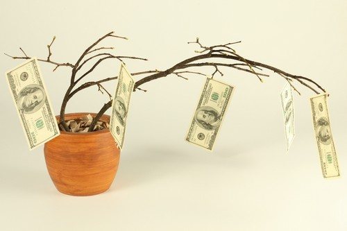 Money tree to attract money to your home
