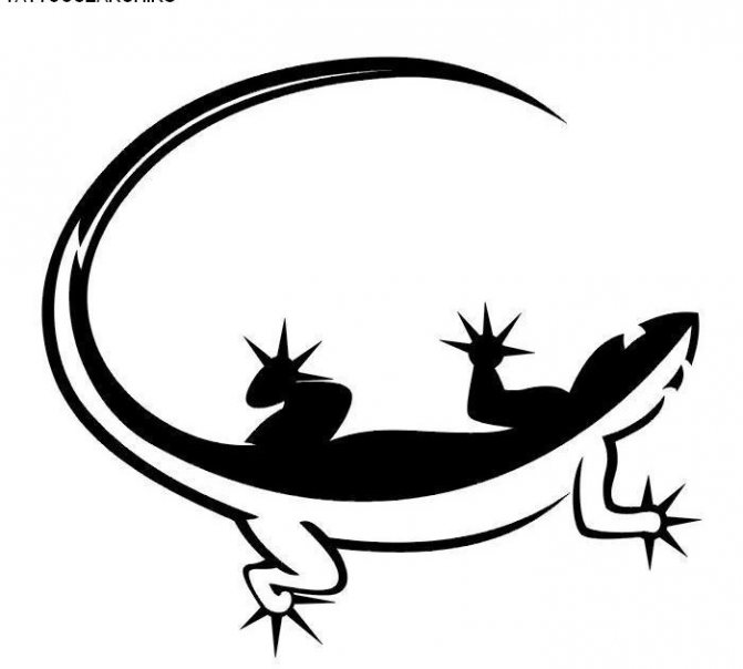 Interesting two-color salamander sketch for tattoo