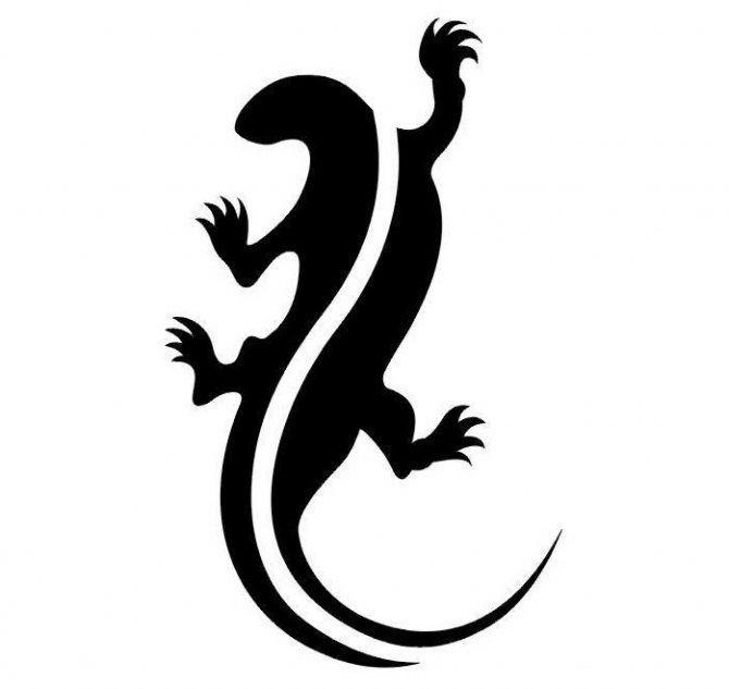 Интересный эскиз для тату-саламандры