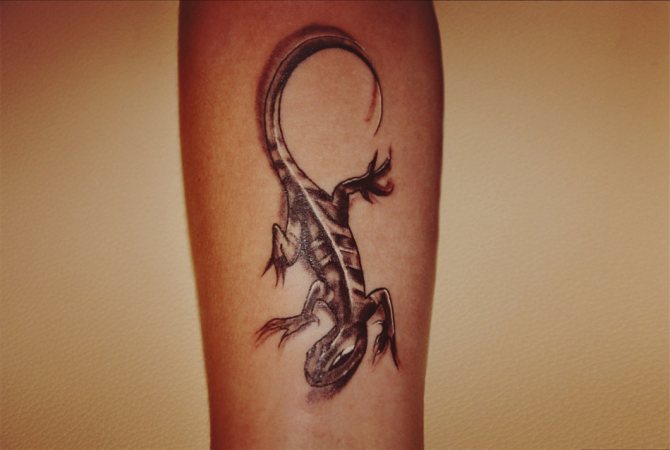 An elegant lizard tattoo on the arm will attract monetary success.