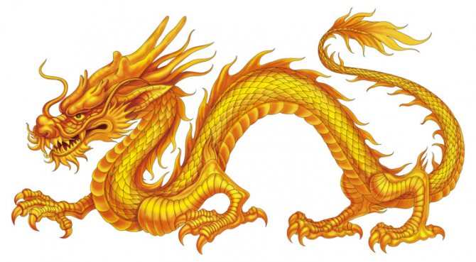 Китайские драконы – символы Китая