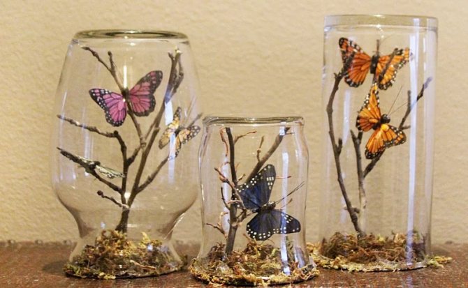 DIY butterfly collection