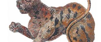 Кот на древнеримской мозаике из Помпей