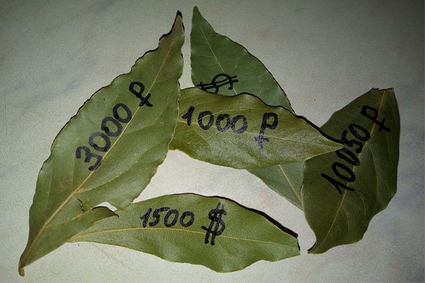 bay leaves with inscriptions