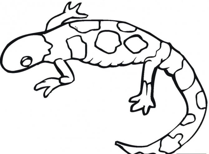 Несложный эскиз для татуировки в виде саламандры