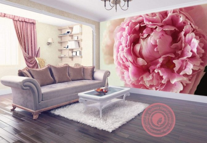 peonies feng shui meaning