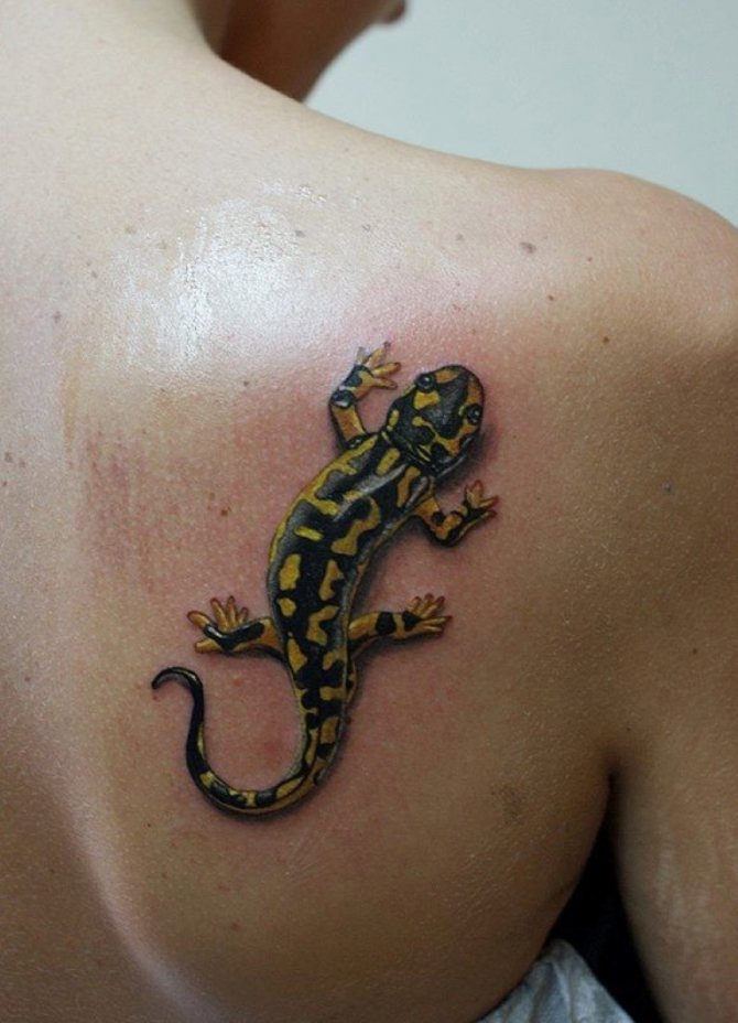 Salamander tattoo will decorate men who are accustomed to winning