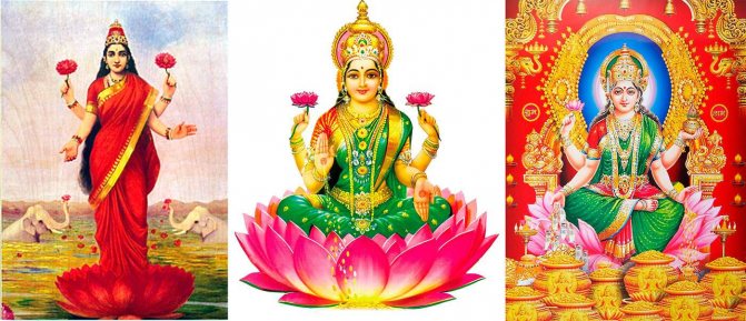 Symbols of Goddess Lakshmi and their meanings
