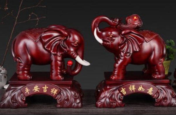 two different elephants