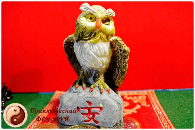 feng shui owl