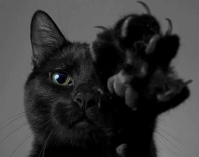 статуэтка кошка черная