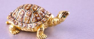 Свойства и значение талисмана черепахи
