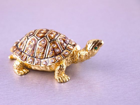 Свойства и значение талисмана черепахи