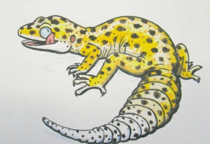 Тату-эскиз в виде мультяшной саламандры