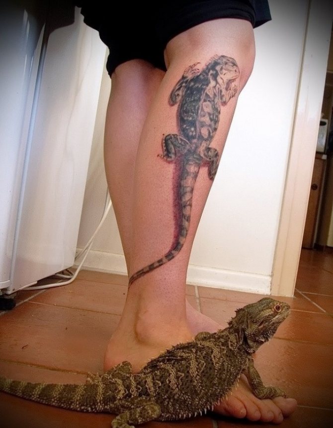 A lizard tattoo on the leg will symbolize peacefulness and compromise.