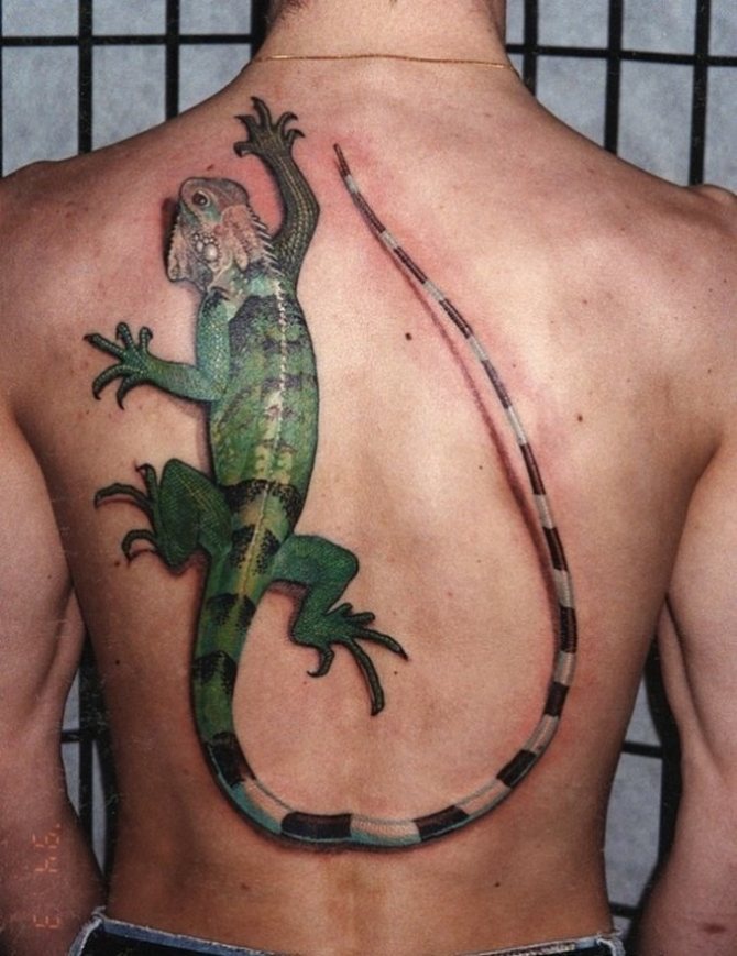 Lizard tattoos on the back symbolize attractiveness and also attract attention in themselves.