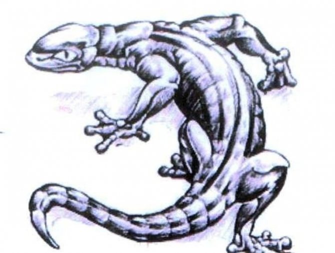 Sketch option for a voluminous monitor lizard tattoo