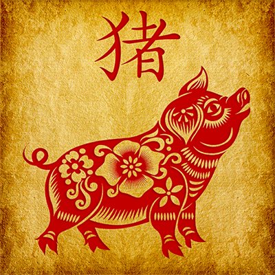Знак Свиньи китайского зодиака