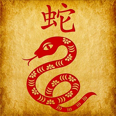 Знак Змеи китайского зодиака